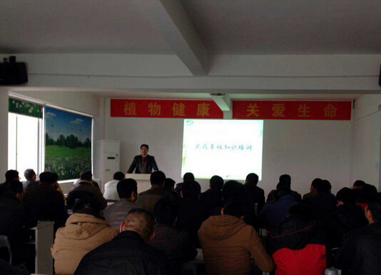 植?；A(chǔ)知識(shí)培訓(xùn)