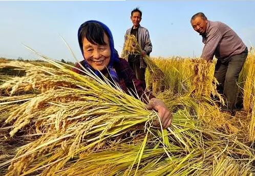 重磅！繼包產(chǎn)到戶之后，我國農(nóng)村又一次迎來重大改革