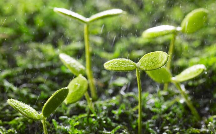 動態(tài) | 生物刺激劑多重效果大揭秘，可減少百萬噸氮肥的投入！